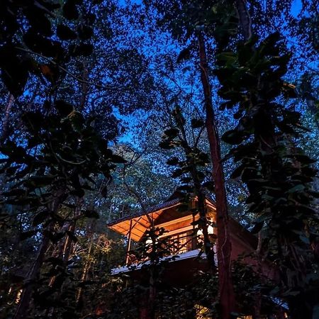 Coffee Acres Resort 卡尔佩特塔 外观 照片
