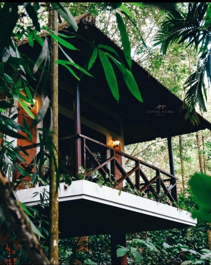 Coffee Acres Resort 卡尔佩特塔 外观 照片