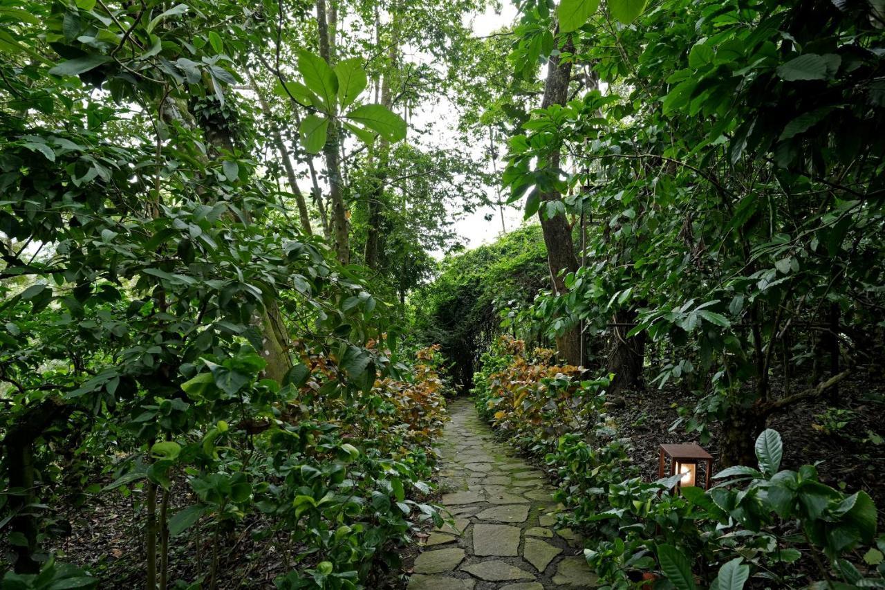 Coffee Acres Resort 卡尔佩特塔 外观 照片