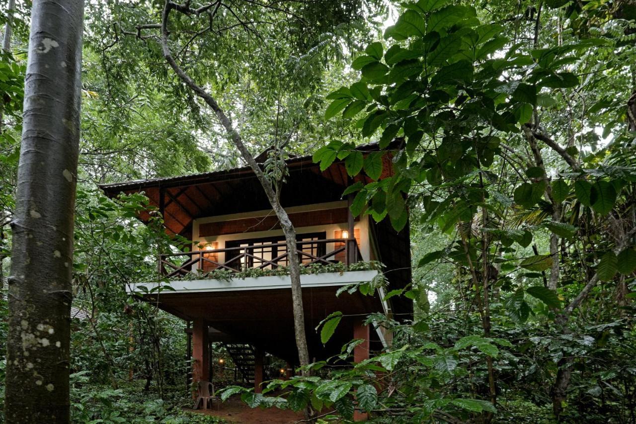 Coffee Acres Resort 卡尔佩特塔 外观 照片