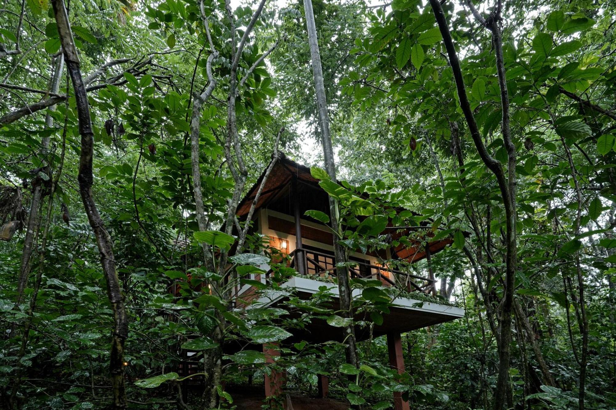 Coffee Acres Resort 卡尔佩特塔 外观 照片