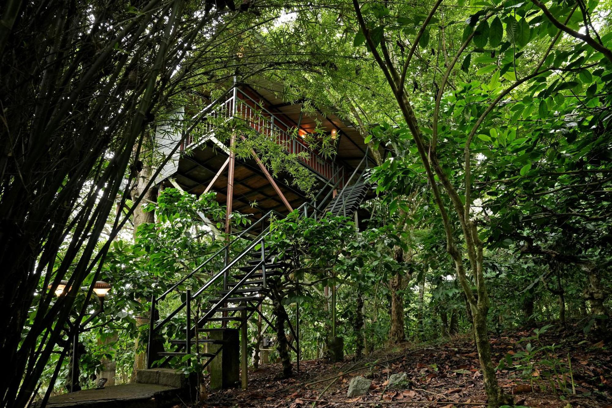 Coffee Acres Resort 卡尔佩特塔 外观 照片