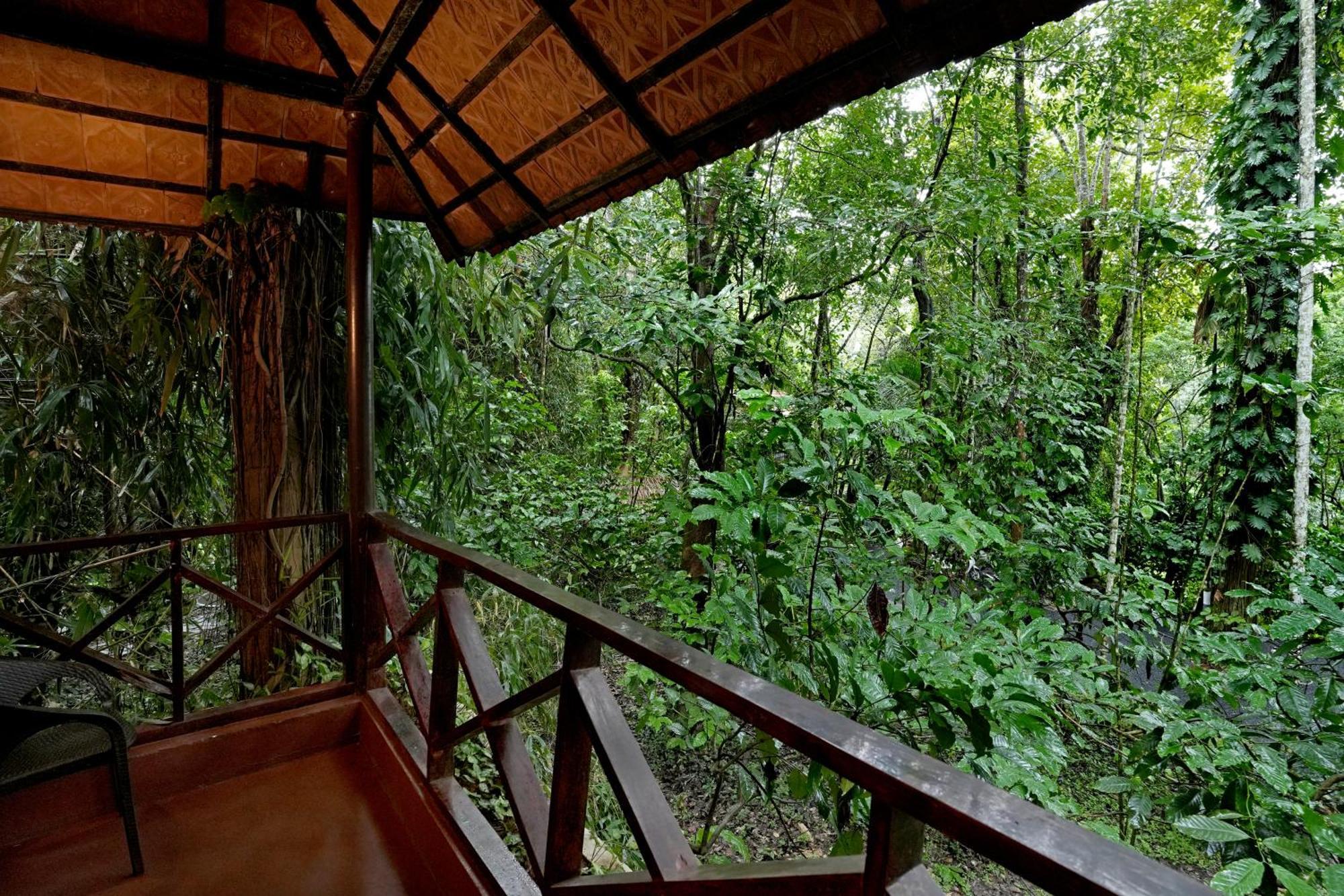 Coffee Acres Resort 卡尔佩特塔 外观 照片