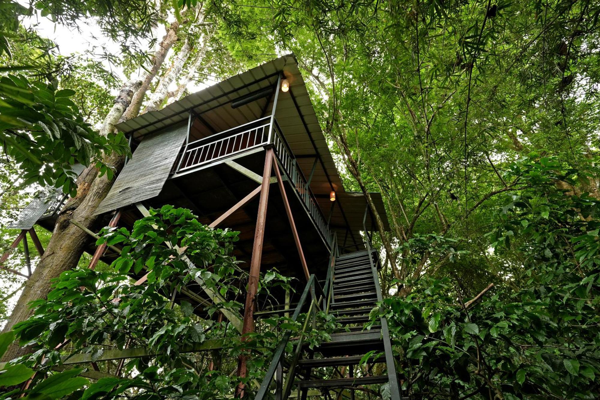 Coffee Acres Resort 卡尔佩特塔 外观 照片